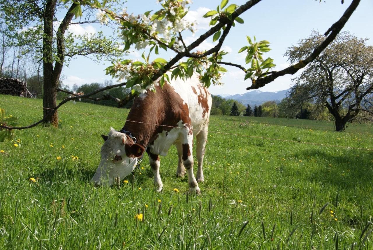 Ferienhof Edtmeier Zell am Moos Exterior photo
