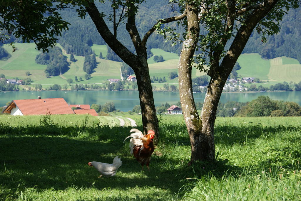 Ferienhof Edtmeier Zell am Moos Exterior photo
